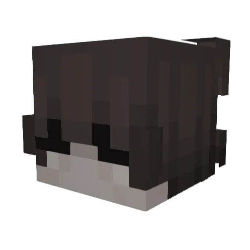 lukasxsxs Minecraft avatar head, 3D render
