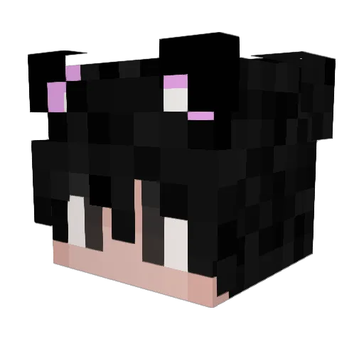 lukiboy99 Minecraft avatar head, 3D render