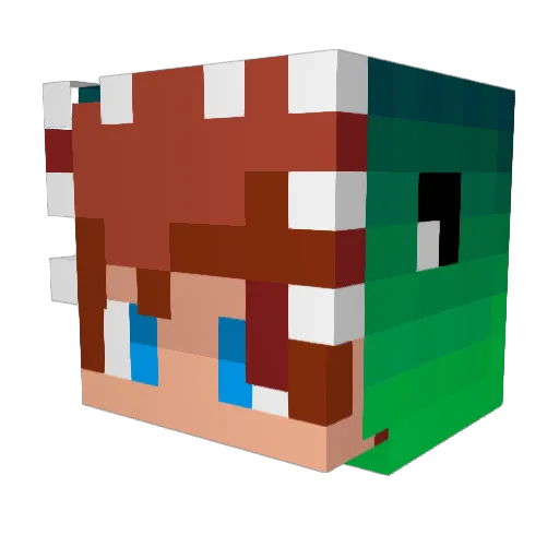 lukinhas_do_grau Minecraft avatar head, 3D render