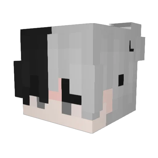 lukskkj Minecraft avatar head, 3D render