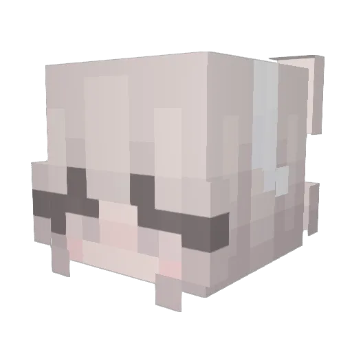 lukwoj21 Minecraft avatar head, 3D render