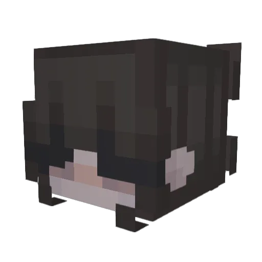 lula Minecraft avatar head, 3D render