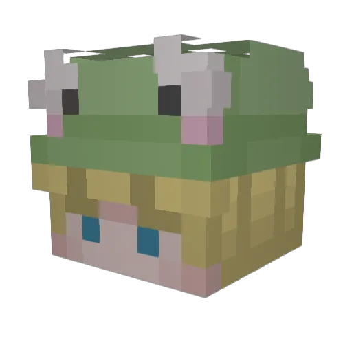 lulaca Minecraft avatar head, 3D render