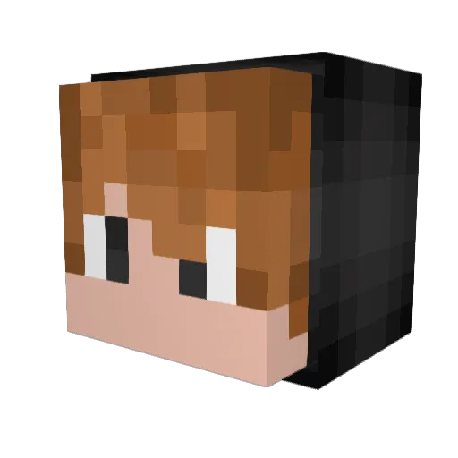 lulu794 Minecraft avatar head, 3D render