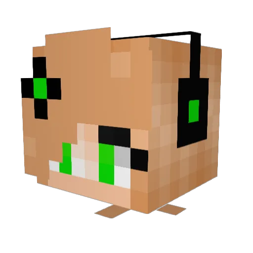 lulu8000 Minecraft avatar head, 3D render