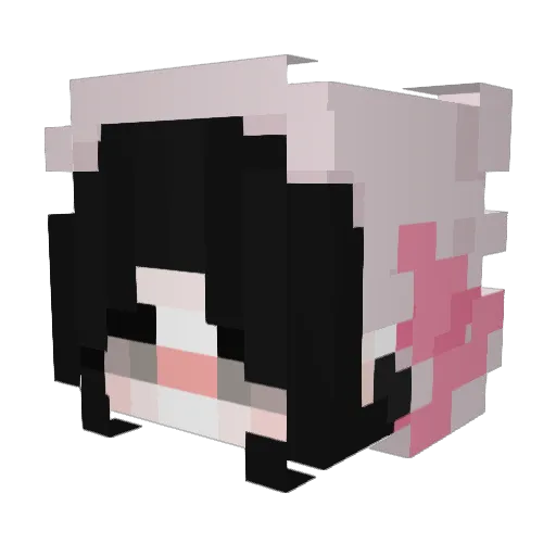 lulubb123 Minecraft avatar head, 3D render