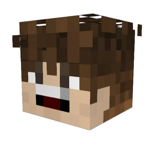 lulugamer12332 Minecraft avatar head, 3D render