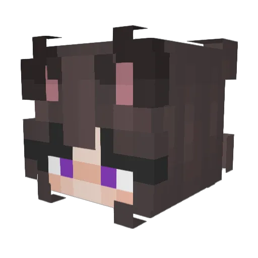 lulula520 Minecraft avatar head, 3D render