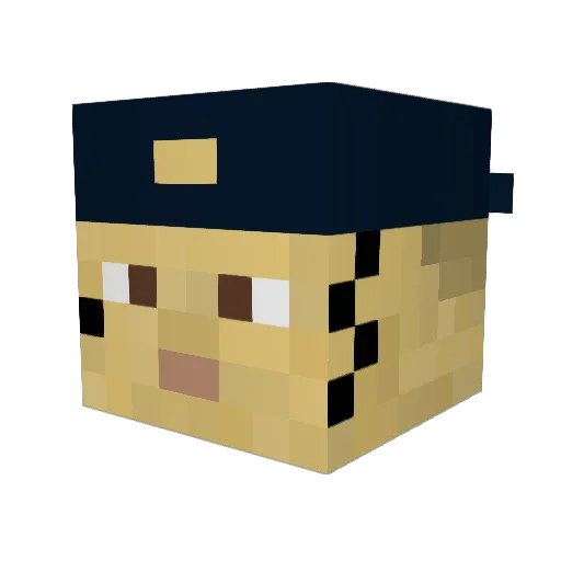 lulusane Minecraft avatar head, 3D render