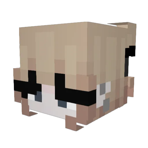 lumirae_ Minecraft avatar head, 3D render