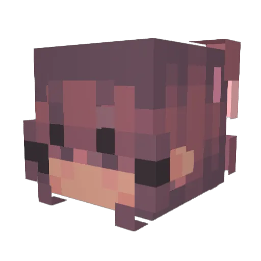 lumpy7861 Minecraft avatar head, 3D render