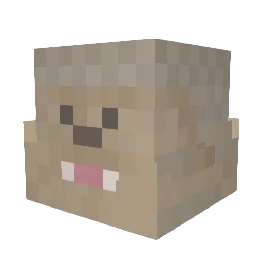 lumpyman514 Minecraft avatar head, 3D render