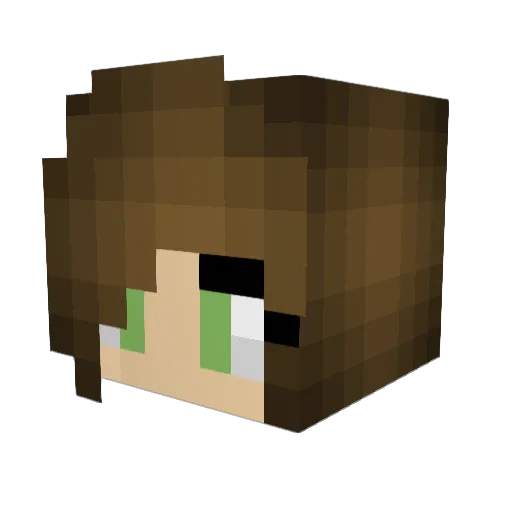 luna22100 Minecraft avatar head, 3D render