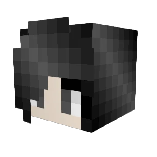 lunacat247 Minecraft avatar head, 3D render