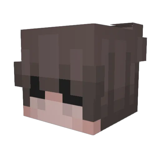 lunaismydoggy Minecraft avatar head, 3D render