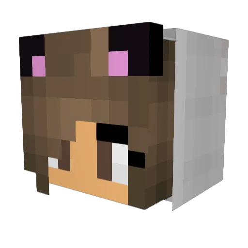 lunam913 Minecraft avatar head, 3D render