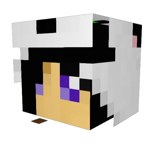 lunapanda2002 Minecraft avatar head, 3D render