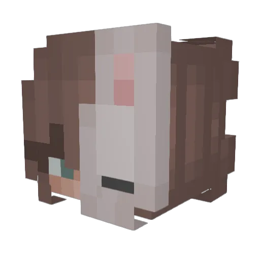 lunar459 Minecraft avatar head, 3D render