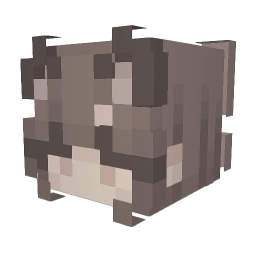 lunarbambi Minecraft avatar head, 3D render