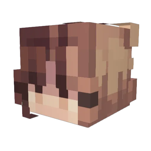 lunareclipse770 Minecraft avatar head, 3D render