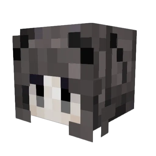 lunarhahaepice Minecraft avatar head, 3D render