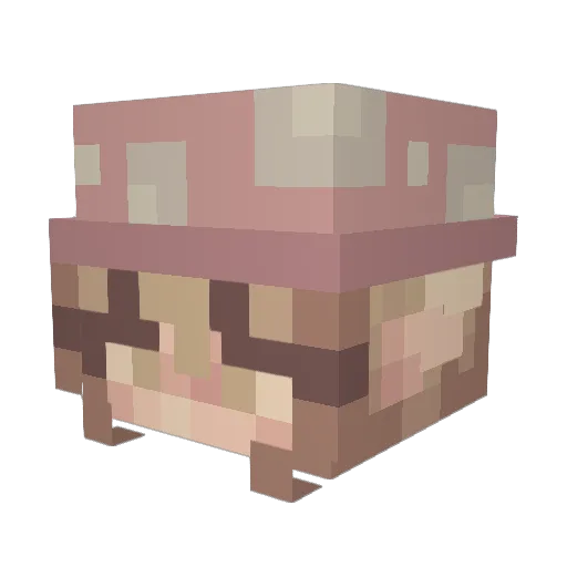 lunarnode Minecraft avatar head, 3D render