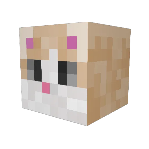 lunathebigcat Minecraft avatar head, 3D render