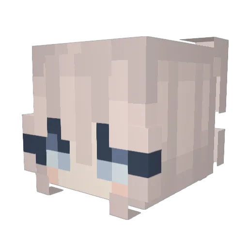 lunaticbagel Minecraft avatar head, 3D render