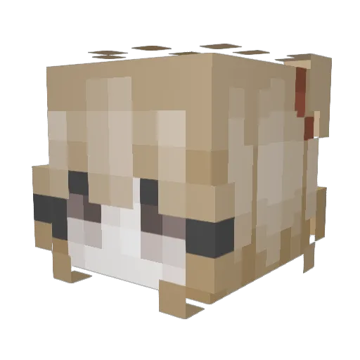 lunaveqq Minecraft avatar head, 3D render