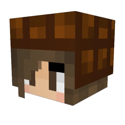lunavivid Minecraft avatar head, 3D render
