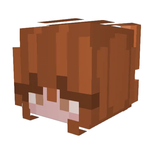 lunawillis Minecraft avatar head, 3D render