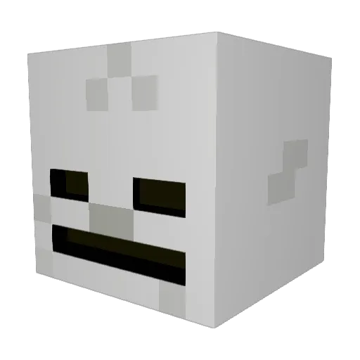 lunchsack279 Minecraft avatar head, 3D render