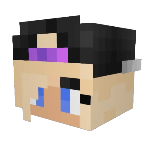lund2246 Minecraft avatar head, 3D render