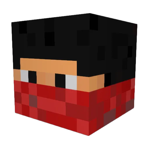 lunet544 Minecraft avatar head, 3D render