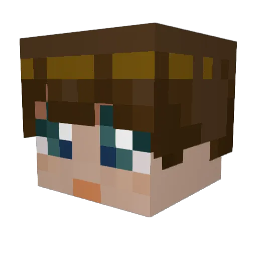 lungfoot Minecraft avatar head, 3D render