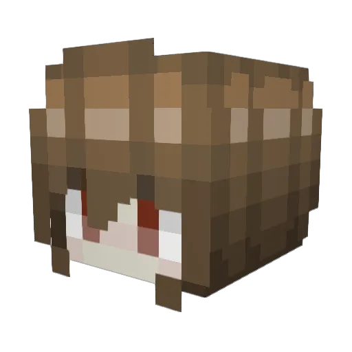 lungw Minecraft avatar head, 3D render