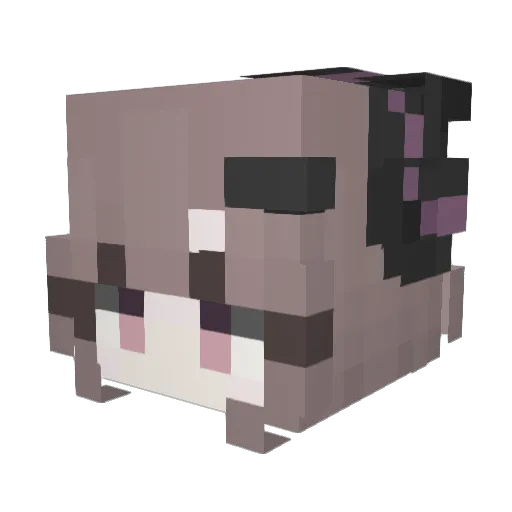 lunoiix Minecraft avatar head, 3D render