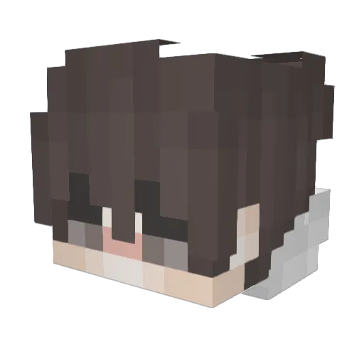 luoxia666 Minecraft avatar head, 3D render