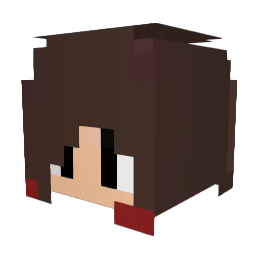 lup27 Minecraft avatar head, 3D render