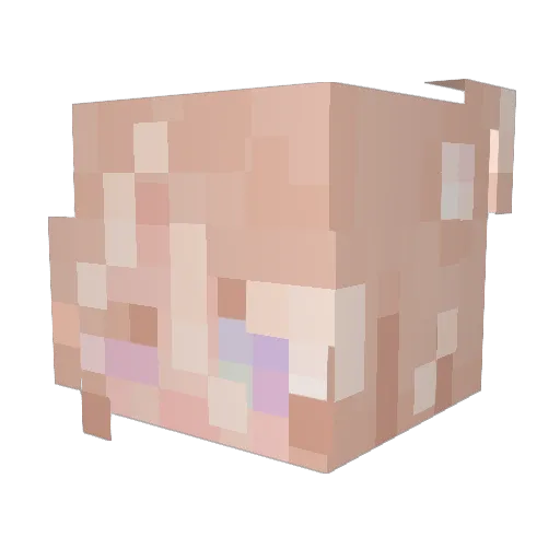 lupemagni Minecraft avatar head, 3D render
