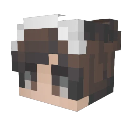 lupila Minecraft avatar head, 3D render