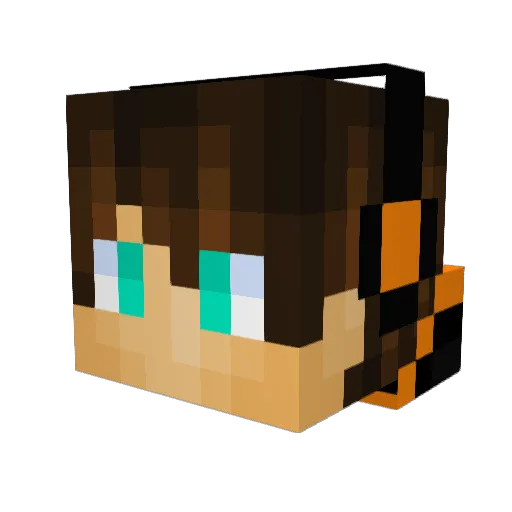 lupin0813 Minecraft avatar head, 3D render