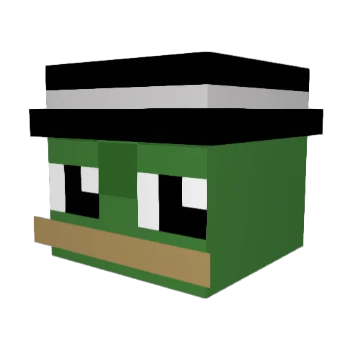 lupop876 Minecraft avatar head, 3D render