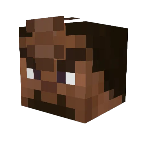 lurker17 Minecraft avatar head, 3D render