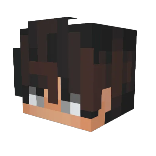 lusekkk Minecraft avatar head, 3D render