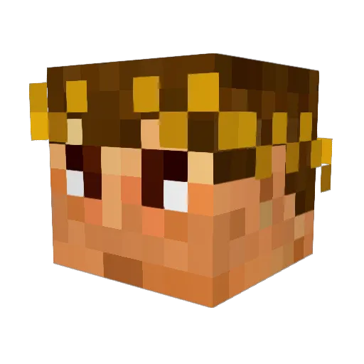 lustigerlars Minecraft avatar head, 3D render