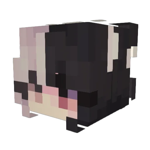 lustre__ Minecraft avatar head, 3D render