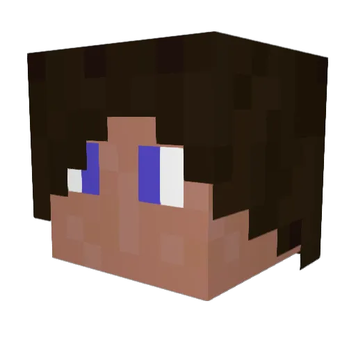 lutzee Minecraft avatar head, 3D render