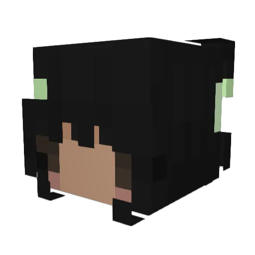 luunet Minecraft avatar head, 3D render
