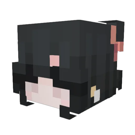 luuser15 Minecraft avatar head, 3D render